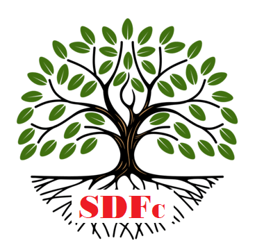 sdfc Micro Finance